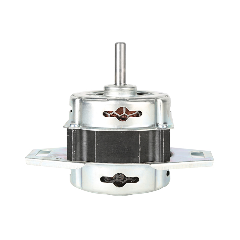 កំពូលម៉ាស៊ីនបោកគក់ 120W Wash Motor